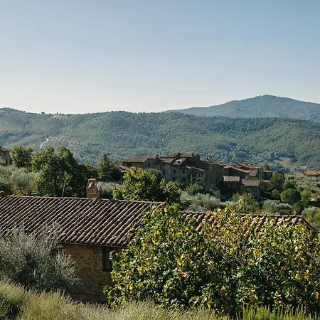 Tatil Evi Casa Lorenzo *