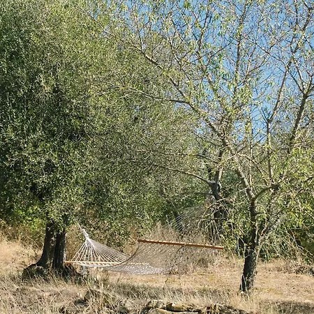 Hébergement de vacances Casa Lorenzo