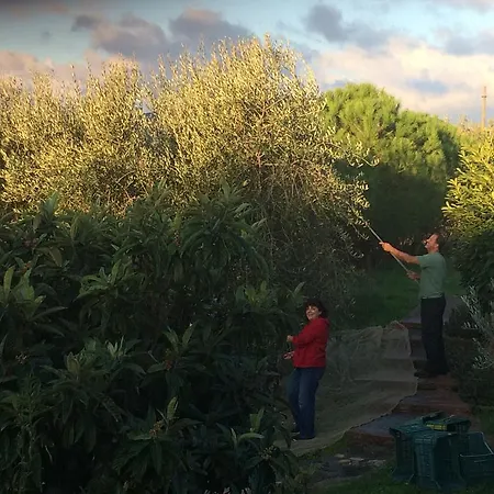 Casa Lorenzo بيت للعطل *