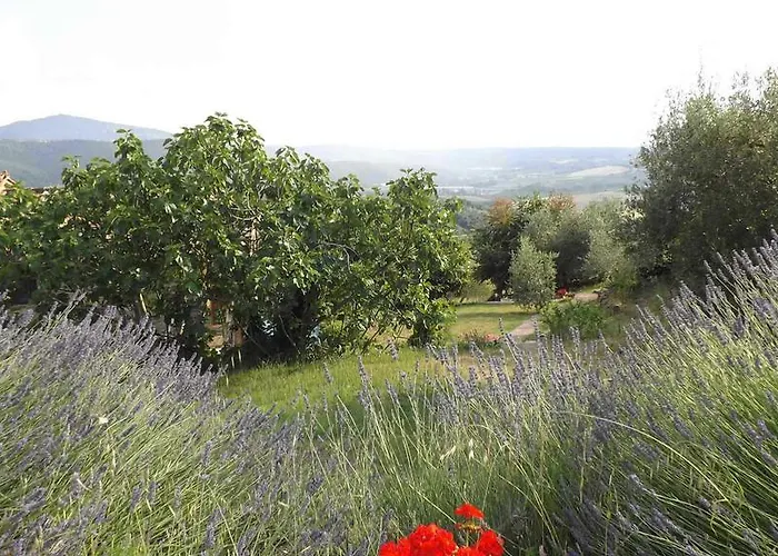 Casa Lorenzo Ferienhaus *