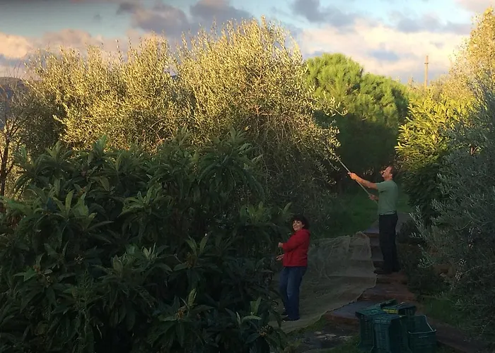 Casa Lorenzo Ferienhaus *